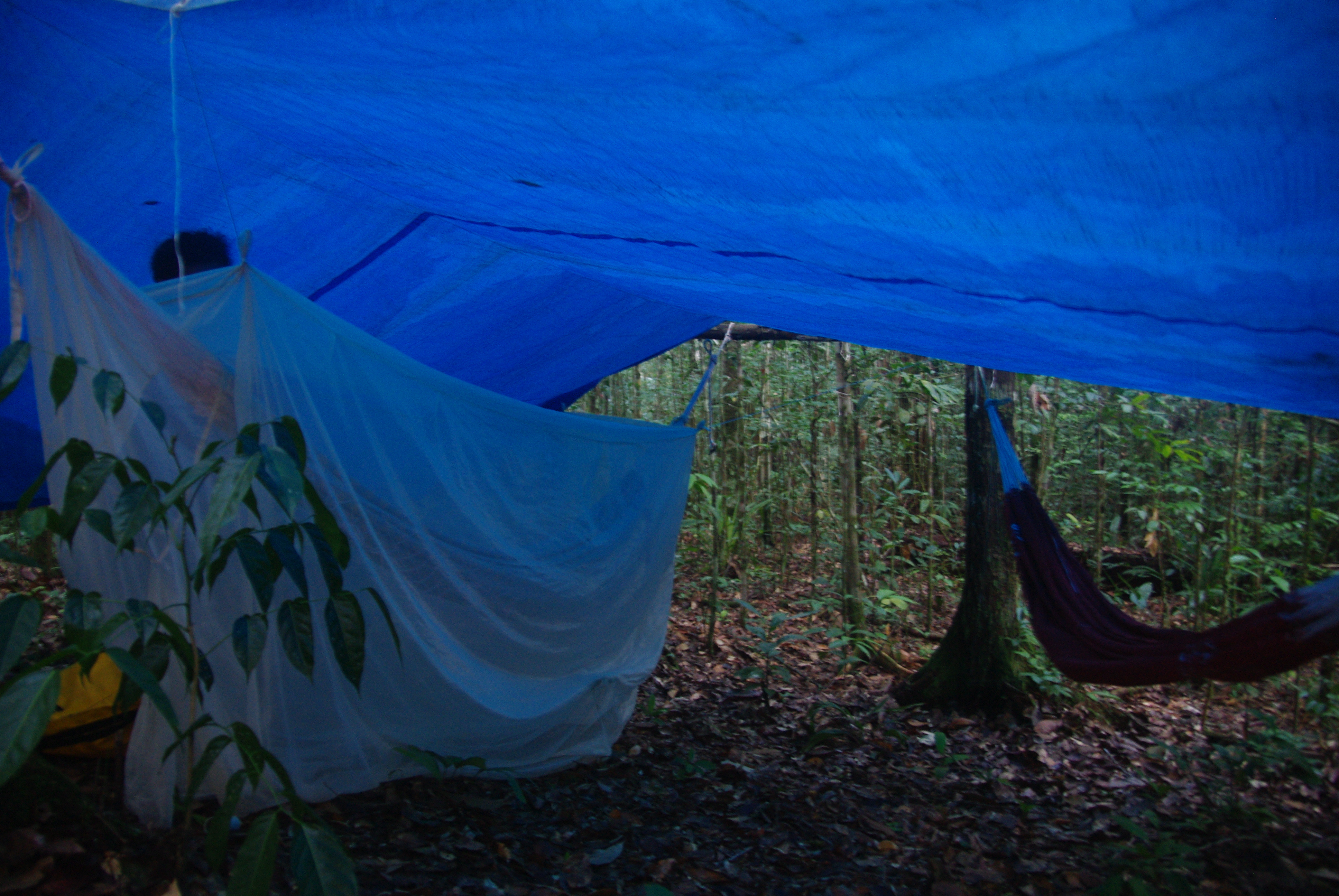 Accommodations for the night: tarp, hammock, mosquito net