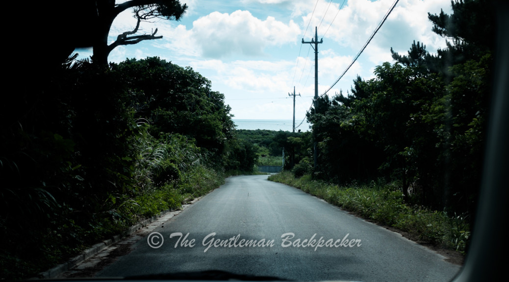 A country road in Iriomote