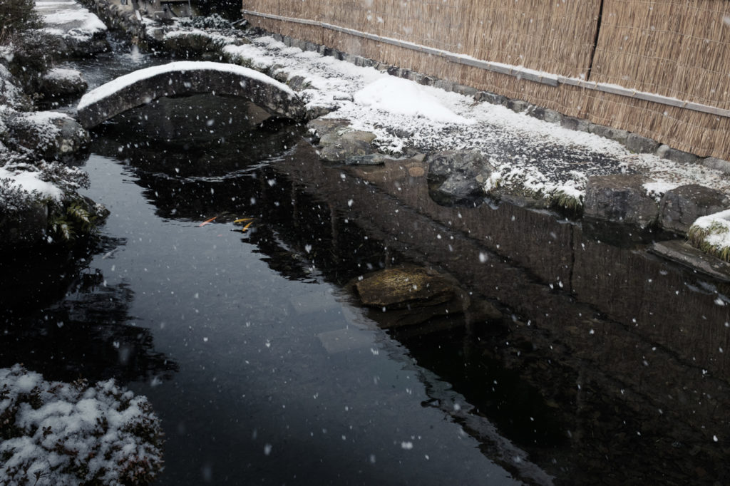 goldfish pond, Shirakawa-go, Japan