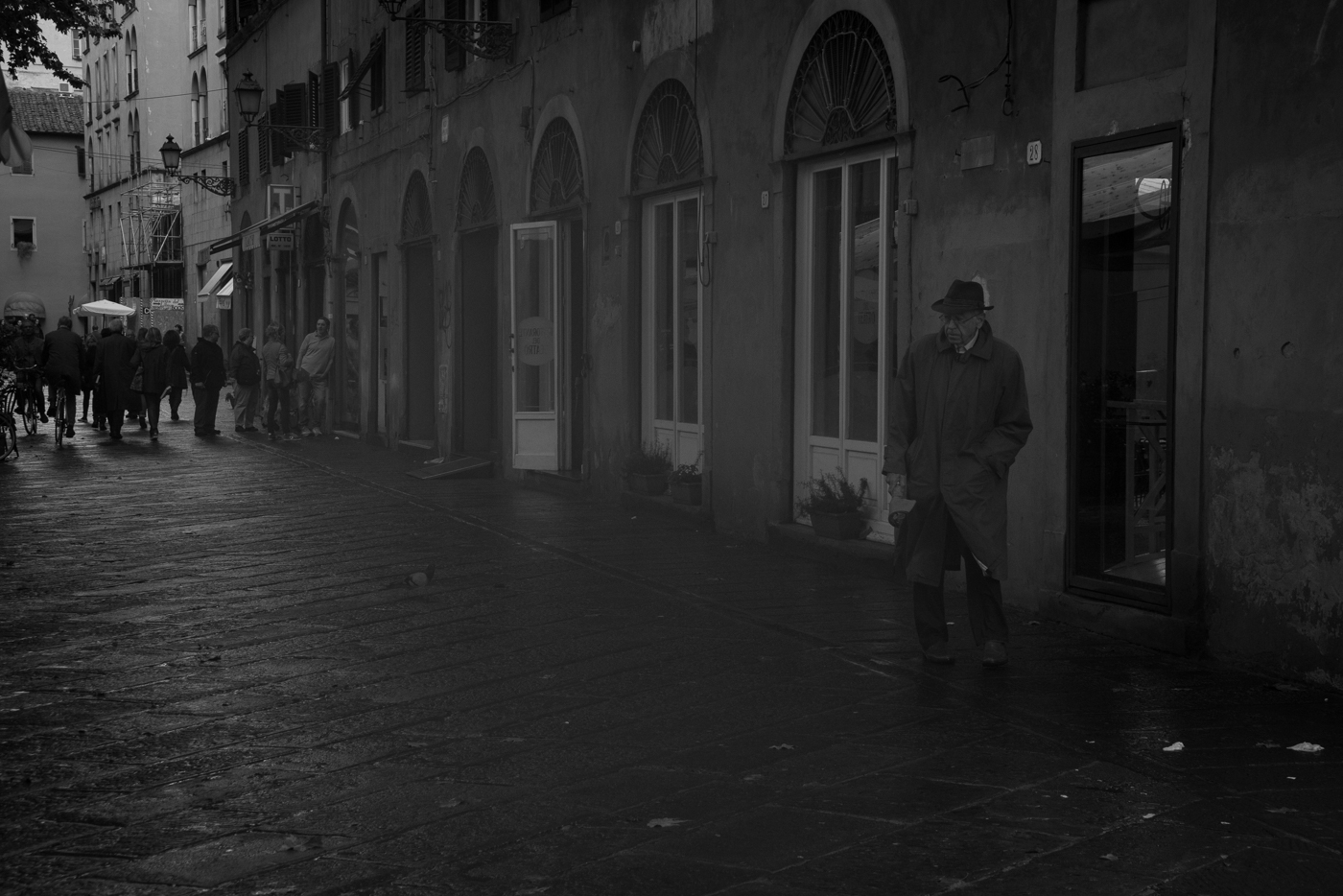 Man in a Trenchcoat, Lucca